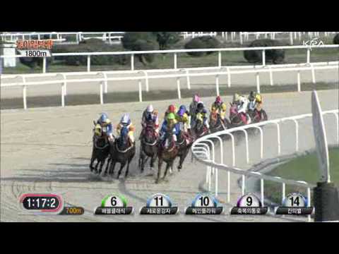 2011 Dong-A Ilbo Cup - Sen Girl