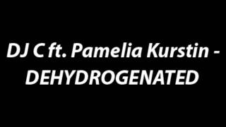 DJ C ft. Pamelia Kurstin - Dehydrogenated