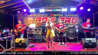 Download lagu Siaran langsung ADM PRO BAND mp3