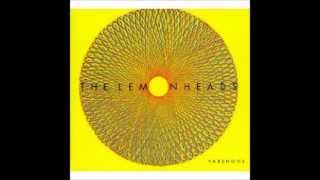 The Lemonheads Yester Love  (Sam Gopal Cover)