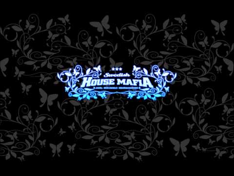 Swedish House Mafia Vs. Tinie Tempah - Miami to Ibiza