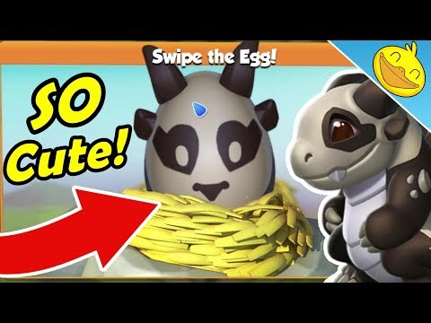Epic PANDA DRAGON Hatching + New DOTM Speculations / Hopes! - DML #968