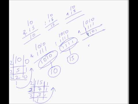 Corejava Chapter 10 Java Syntax Operators Logical Assignment Bitwise Shift