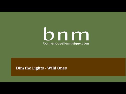Dim the Lights - Wild Ones