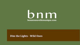 Dim the Lights - Wild Ones