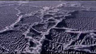 Praise Be To You - Desmond Lederer & Brad Williams