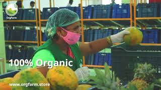 OrgFarm - Organic Vegetables, Fruits & Groceries || Home delivery