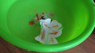 cách làm thiệp ngày 20 tháng 10   Thiệp nở trong nước