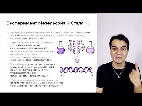 Биосинтез белка и матричные реакции №1 - видео-урок (Асиф)