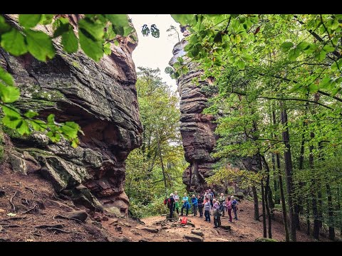 Wandermenü Pfalz – Kastanienwanderung Hauenstein erleben