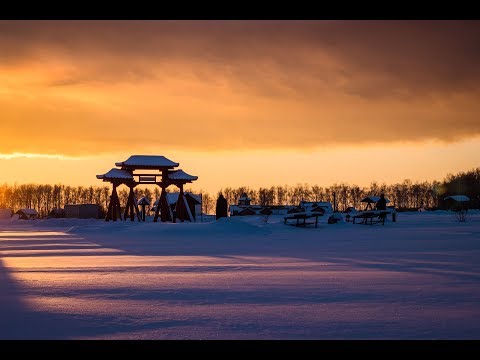 My Nationality is Mankind