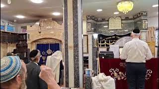 משה חבושה.קדושה לפי ניגון לה וידה דו פור אל ראקי