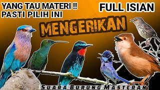 Download lagu FULL ISIAN MENGERIKAN! MASTERAN Kasar UNTUK BURUNG LOMBA - YANG TAU MATERI PASTI PILIH INI mp3 Download lagu FULL ISIAN MENGERIKAN! MASTERAN Kasar UNTUK BURUNG LOMBA - YANG TAU MATERI PASTI PILIH INI mp3