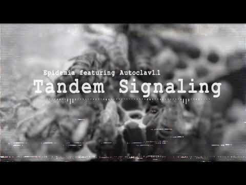Epidemia Feat. Autoclav1.1