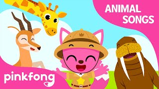 Jambo Animals | Animal Songs | Learn Animals | Pinkfong Animal Songs for Children
