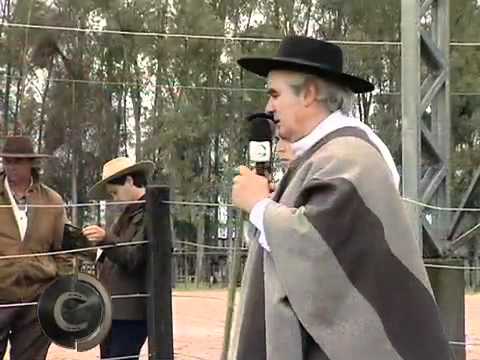 Dia de Campo Têmpera Crioula 2011