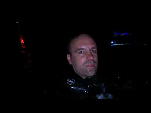 Maldives | Maamutaa | Night dive