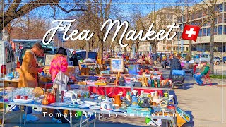 【スイスの暮らし】ジュネーブ・プランパレ蚤の市で宝探し🕰️✨｜日常vlog