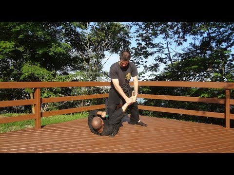 Bujinkan Budō Taijutsu (武神館道場武道体術) - Rio de Janeiro, Bujinkan Brazil