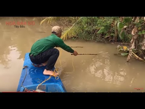 โรงพยาบาลรักษากลาก ฝาปิดผิวด้วยการร้องไห้กลาก
