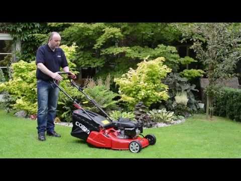 Cobra Honda RM46SPH roller mower - Image 2