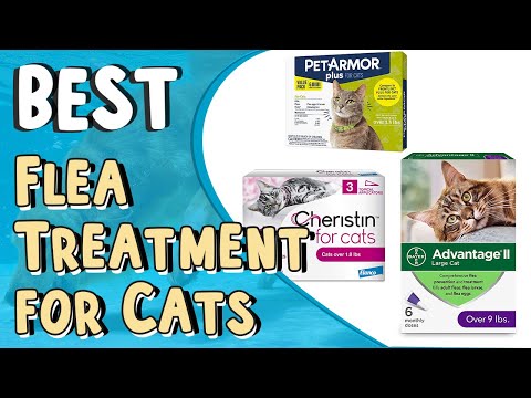 Top 5 Best Flea Treatment for Cats _ Best Flea Medicine for Cats Without Vet Prescription,