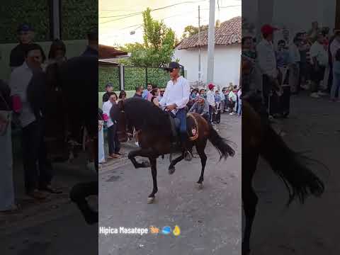 HIPICA MASATEPE 2026 - PARTE DEL AMBIENTE EN SU CIERRE DE SUS PATRONALES