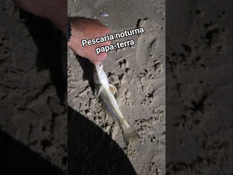 Pescaria noturna na Praia de Imbé