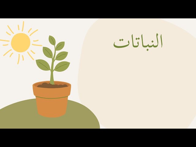 فيديو النباتات | علوم  | الصف الخامس الابتدائي