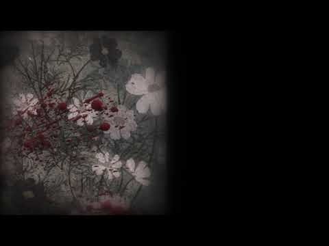 ED1 «Chaos Syndrome» — Кономи Судзуки
