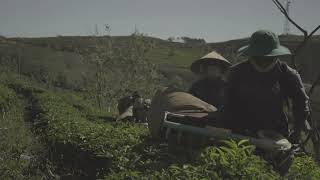 1324942 uhd 3840 2160 24fps