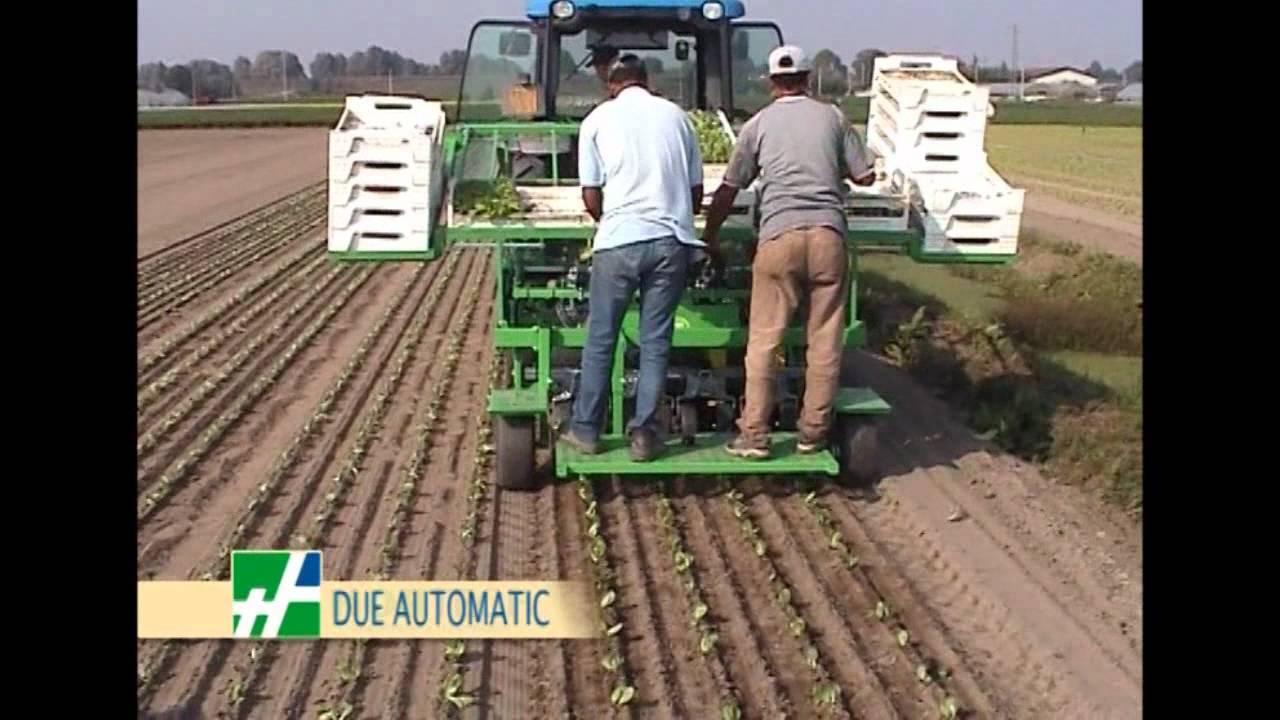 Hortech Due Automatic palántázó gép