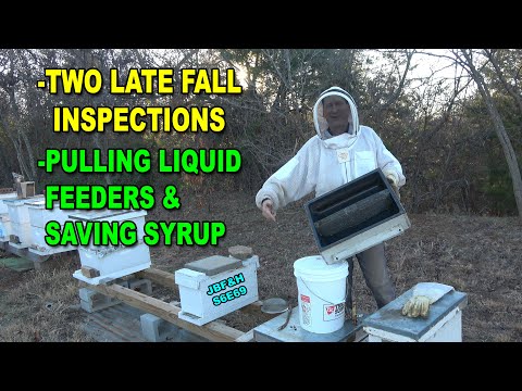 , title : 'Pulling Liquid Feeders & Fall Beehive Inspections 2022 S6E69 #beekeeping'