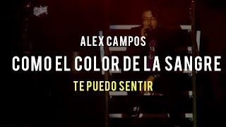 Como el color de la sangre (Te puedo sentir) - Alex Campos | Video Oficial