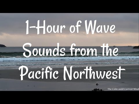 1-hour of Ocean Wave Sounds from the Pacific Northwest