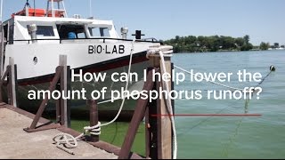 HABs FAQs: How can I help lower the amount of phosphorus runoff?