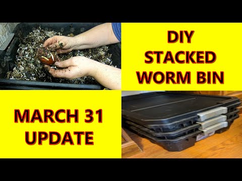 DIY STACKED BIN UPDATE