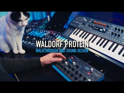 Waldorf Protein - Sounds, walkthrough and sound design