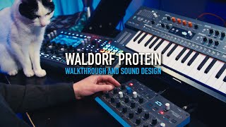Waldorf Protein - Sounds, walkthrough and sound design