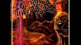Burning The Masses - Deprived Of Purity