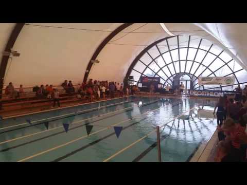 Az  úszó  verseny.