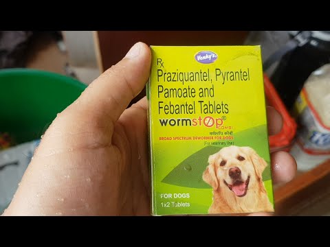 Feeding hookwork / roundworm tablet to pomeranians