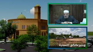 تلقيح صناعي بغرض تحديد نوع الجنين!/فتاوي علي الهواء مباشرة/الخميس 2021/1/7 image