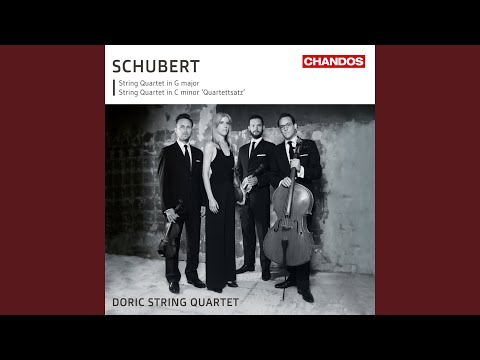 String Quartet No. 15 in G Major, D. 887: II. Andante un poco mosso