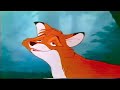 The Fox And The Hound Adult Tod 1981 VHS Capture