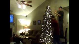preview picture of video 'Christmas Tree Timelapse 2013'