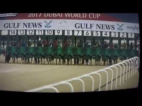 2017 DUBAI GOLDEN SHAHEEN $2M MINE YOUR BISCUITS