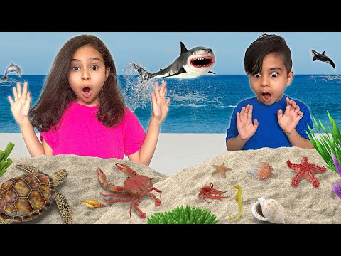 Educational Sea Animals for Kids | Learn coastal life with Atrin and Soren at the Zoo and Aquarium