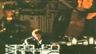 Seelenzorn - Frei (HQ) - download mp3