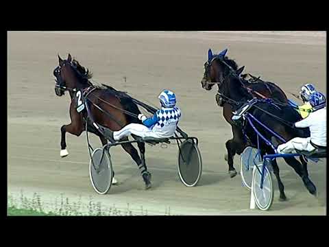 Napoli Trotto 29/10/2021 - 4ª corsa